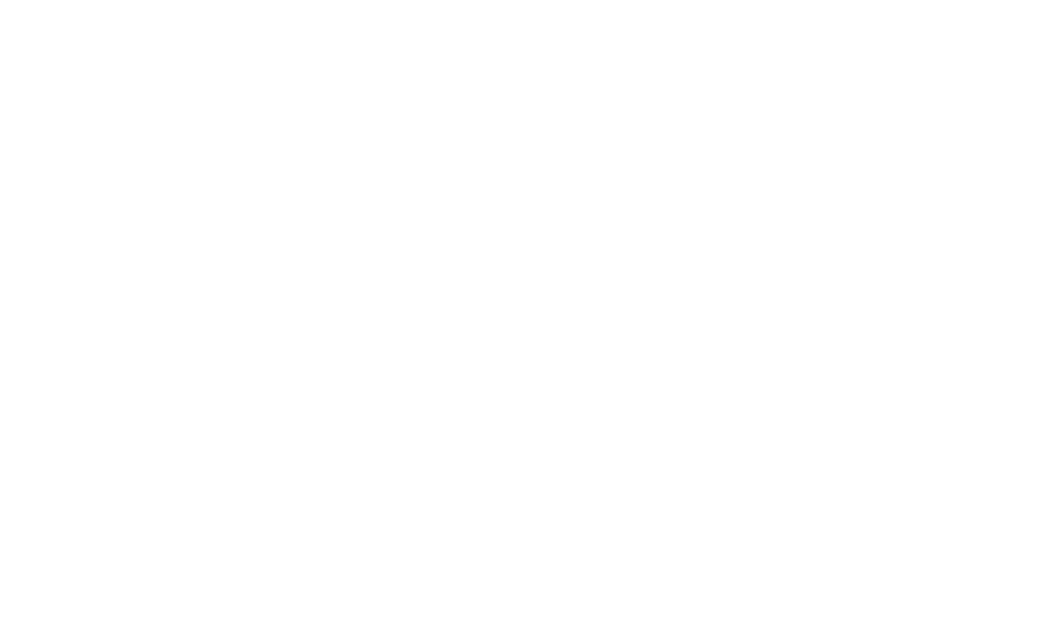 Bold Monkey logo